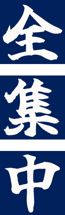 全集中