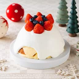 クリスマスドームケーキ