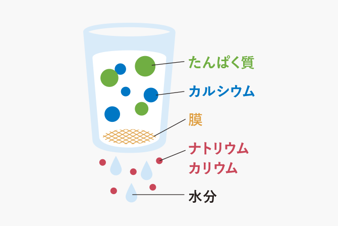 イメージ_タンパク質_カルシウム_膜_ナトリウム_カリウム_水分