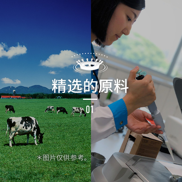 精选的原料