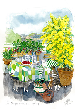 On the terrace in spring.